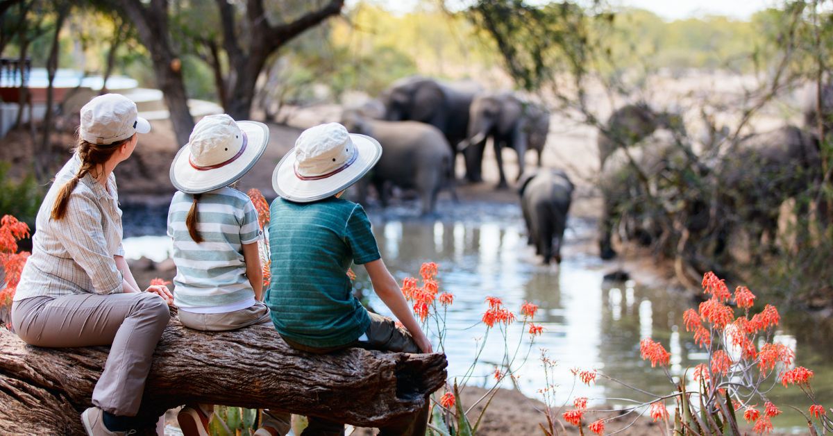 Kosher Safari Where Adventure Meets Tradition