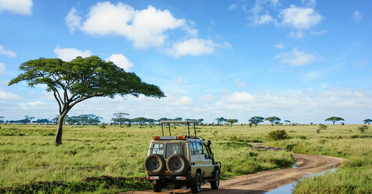 Kosher Safaris in Africa